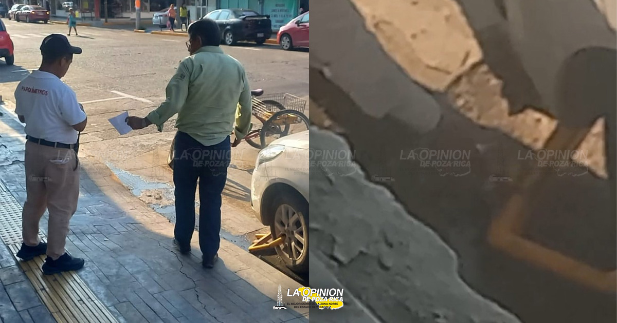 Parquímetros quita arañas con ganzúa