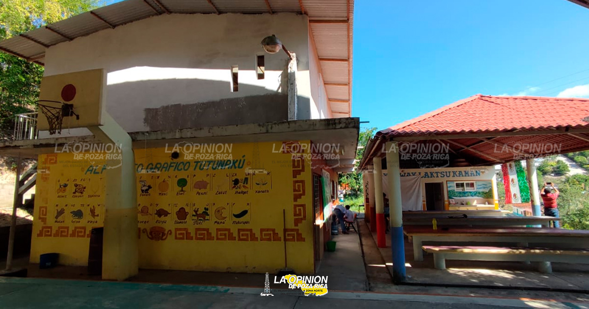 Once menores de primaria contagiados por dengue
