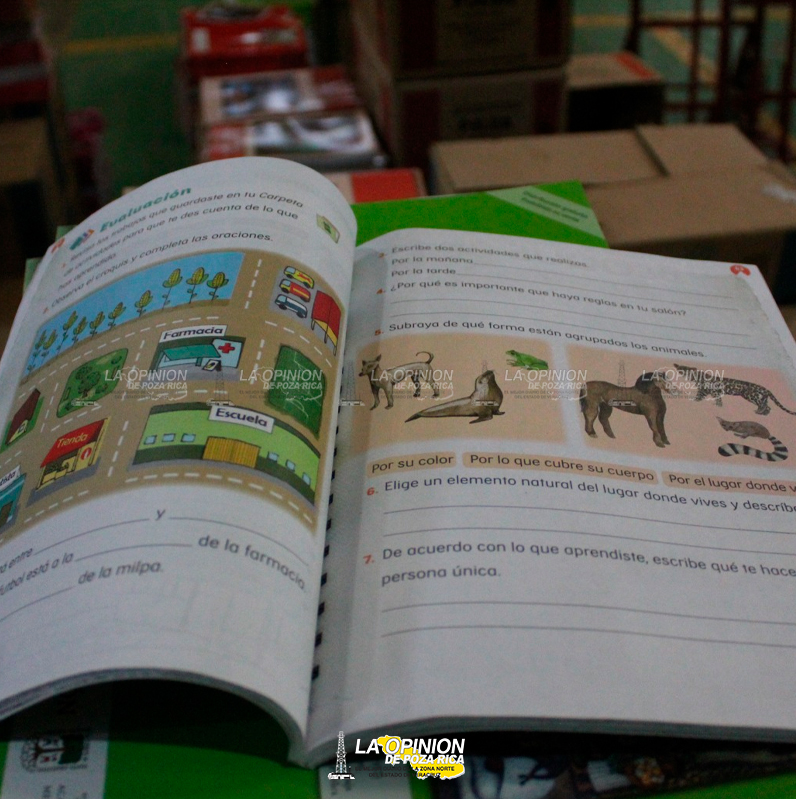 Revisan los libros