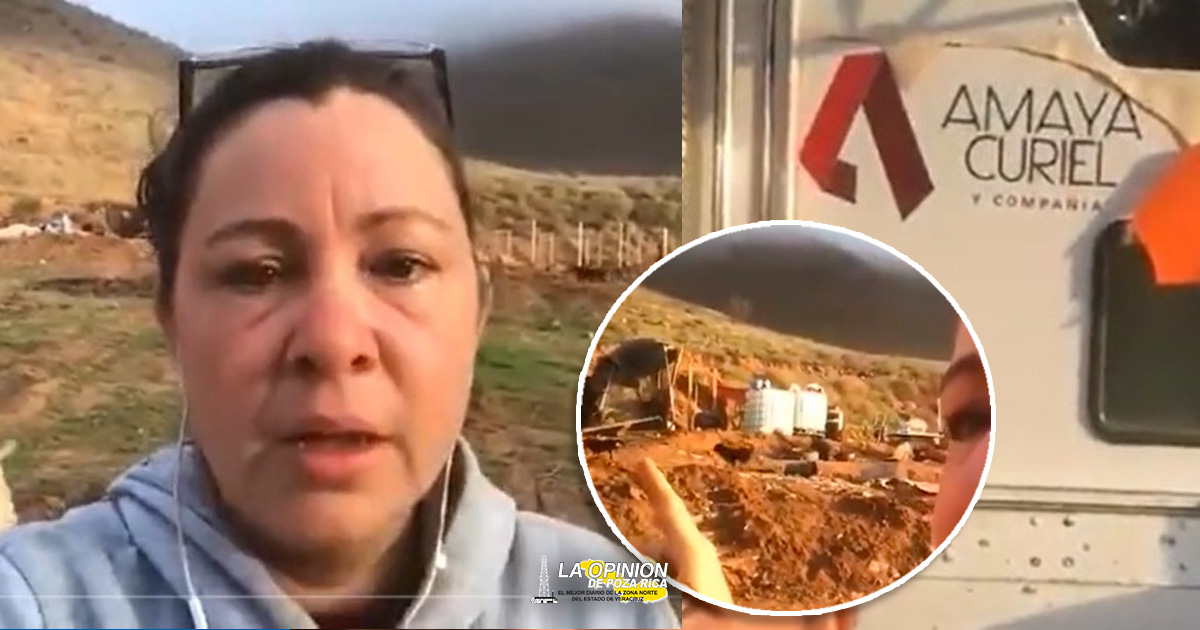 Maquinaria destruye albergue y aplasta a animales vivos