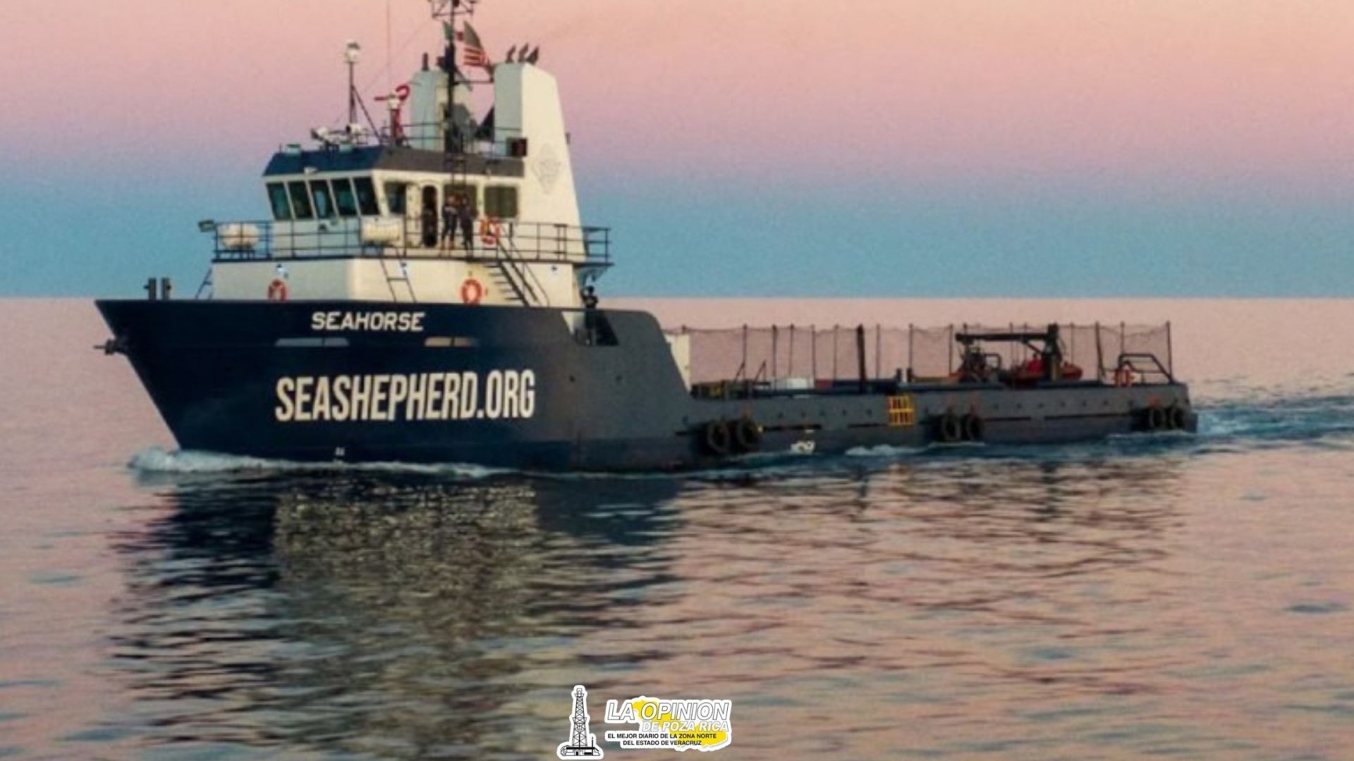 Sea Sheperd lanza la Operación Milagro X