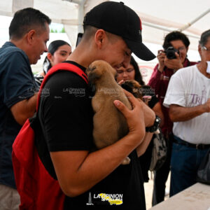 Gran respuesta a la jornada de adoptación de perros y gatos “Un Hogar para Todos”