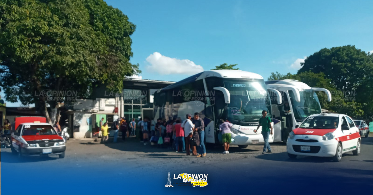 Saturadas las dos terminales de Naranjos