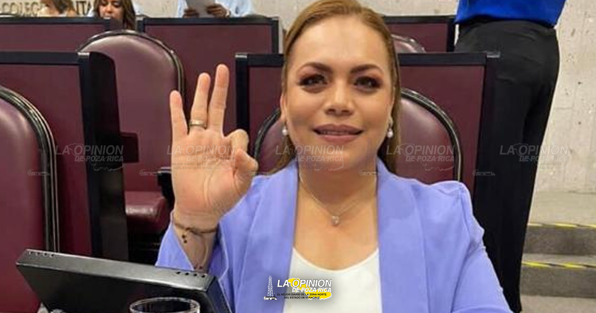 Veracruz con 41 feminicidios y 683 mujeres desaparecidas al mes de octubre del 2023: Verónica Pulidos