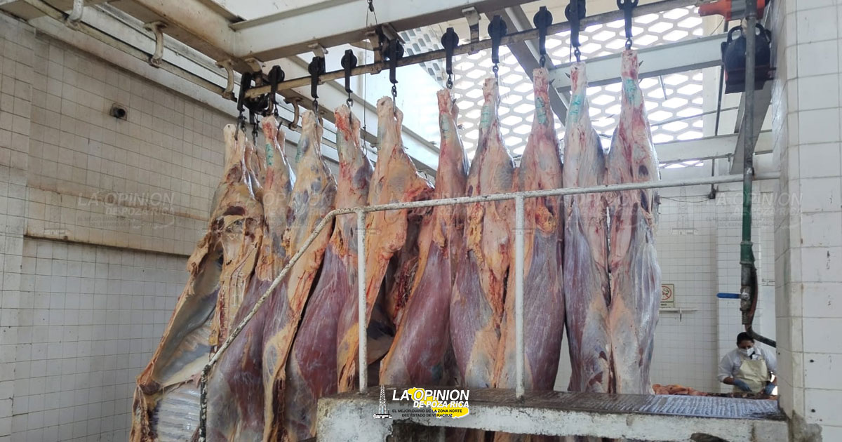 Aumenta la matanza de cerdo y res en el Rastro Municipal