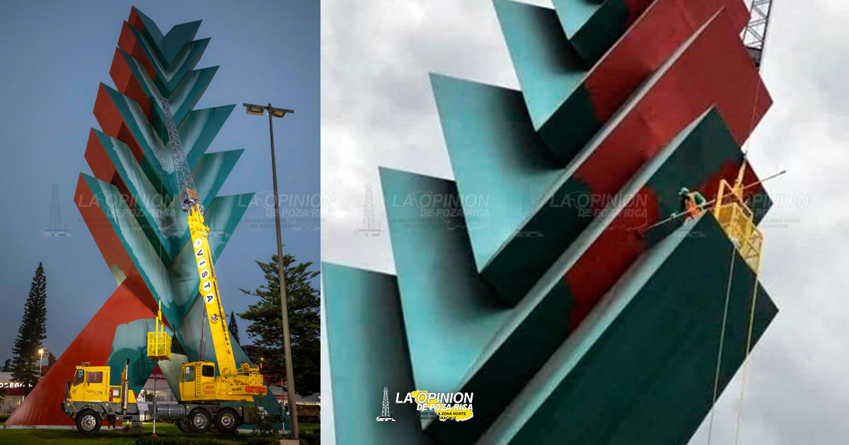 Araucaria de Xalapa no cambiará de color
