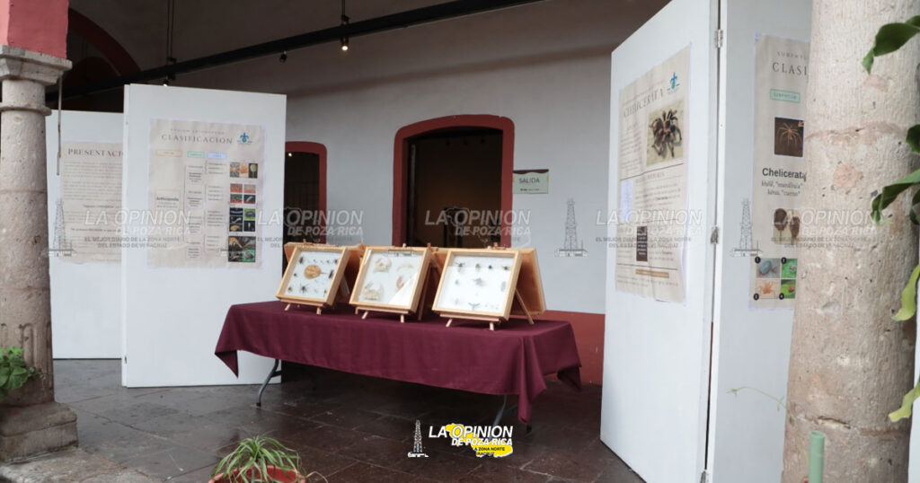 Festival Xalapa y su Cultura ofrece 135 actividades