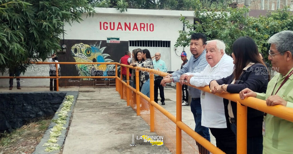Poza Rica ya tiene su Iguanario y se ubica en la colonia 27 de Septiembre