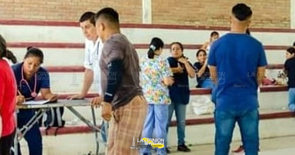 Jornada de esterilización de gatos en el CS Animal