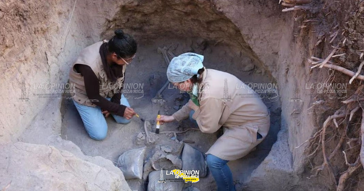 Descubren tumbas prehispánicas con más de tres milenios de antigüedad en el Bosque de Chapultepec