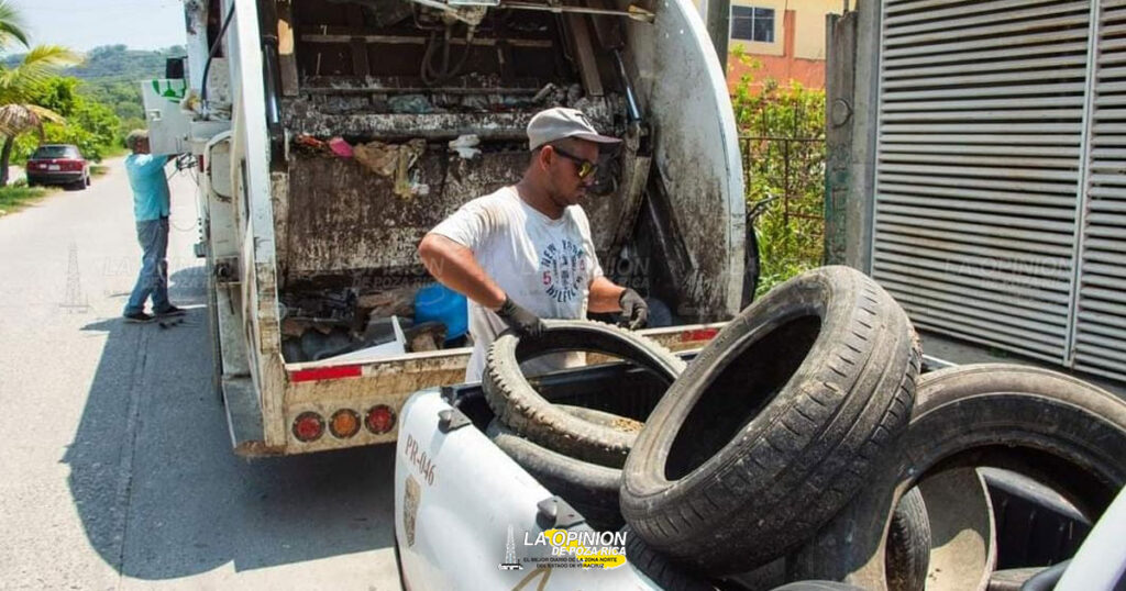 Habrá destrucción masiva de criaderos de mosco
