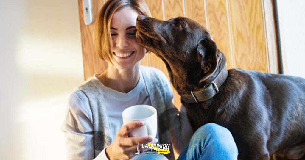 Tener mascotas, el camino a una vida más saludable