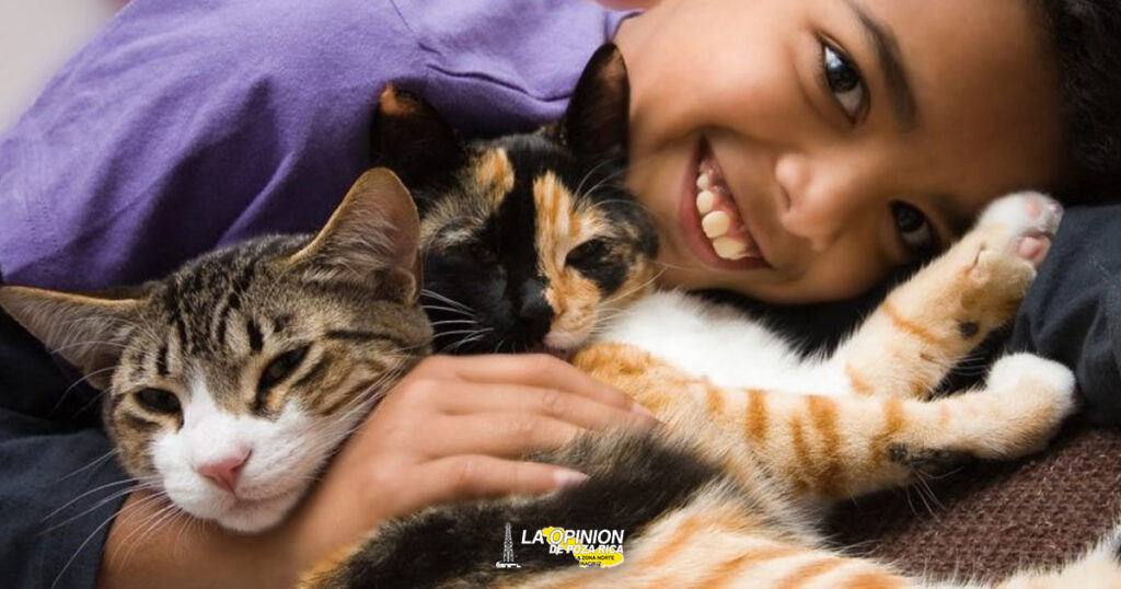 Tener mascotas, el camino a una vida más saludable