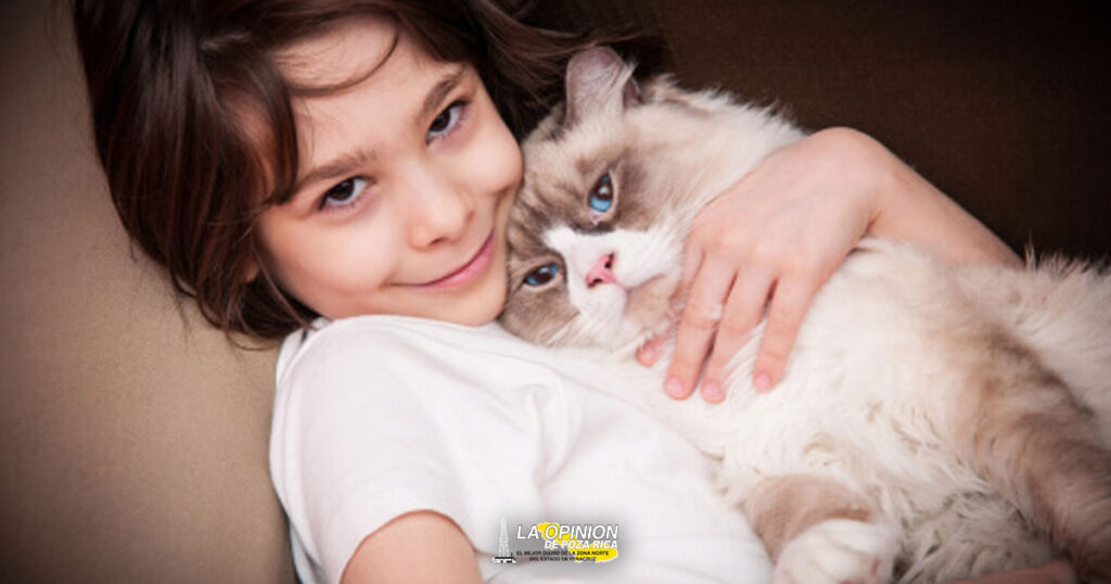 Tener mascotas, el camino a una vida más saludable