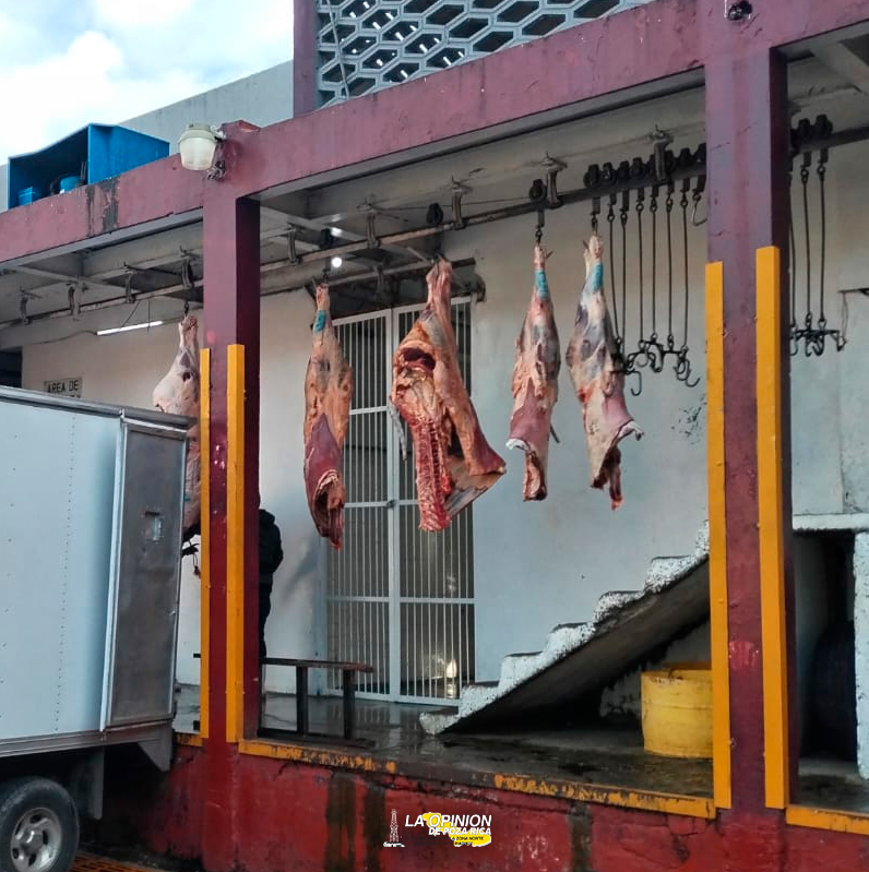 Rehabilitan instalaciones del Rastro Municipal de Poza Rica