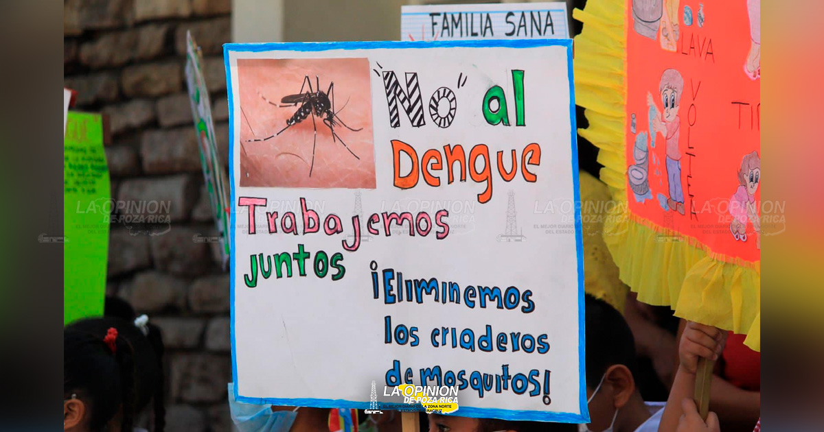 Dengue, a pesar del clima invernal
