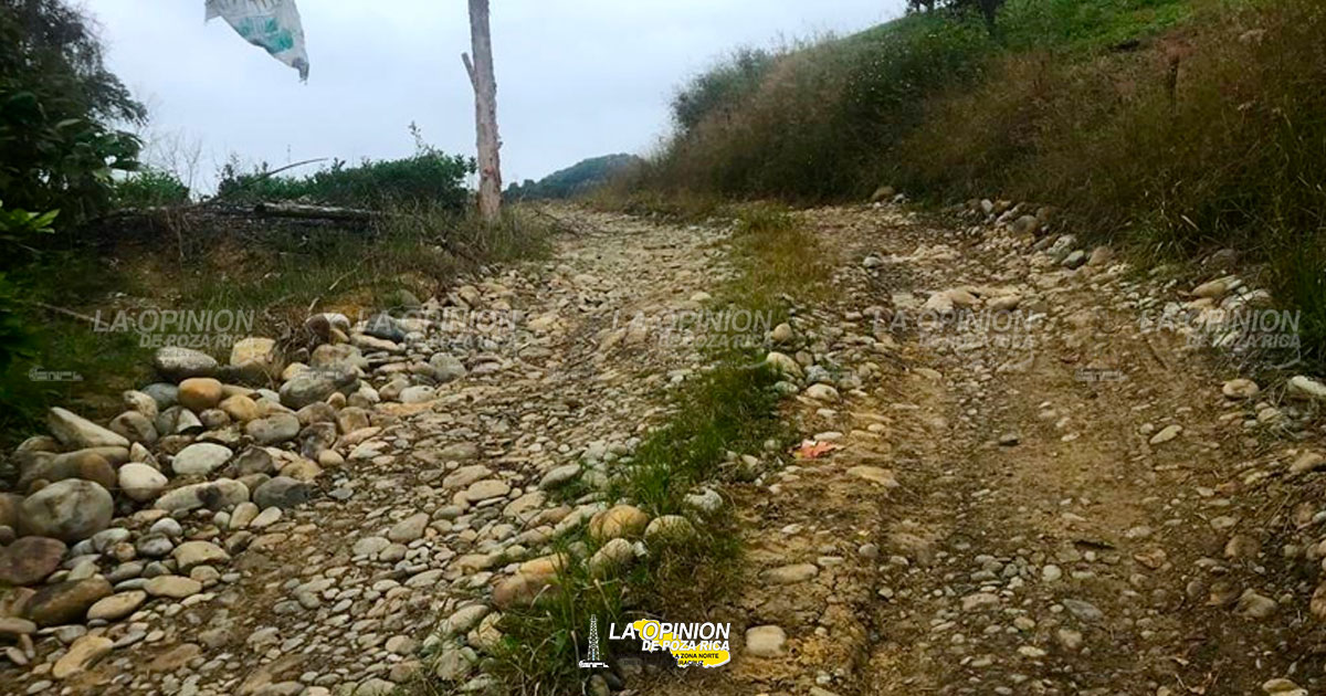 LE CAEN EN LA MENTIRA A BLANCA LILIA ARRIETA