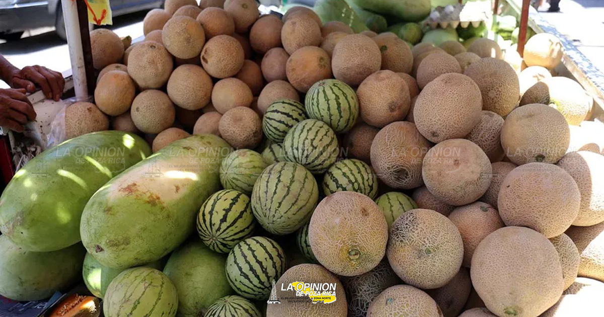 Canadá alerta brote de salmonela por melones de marcas mexicanas; reportan 5 muertes