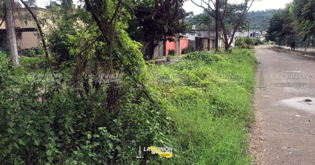 Recupera SSP espacios públicos en PR