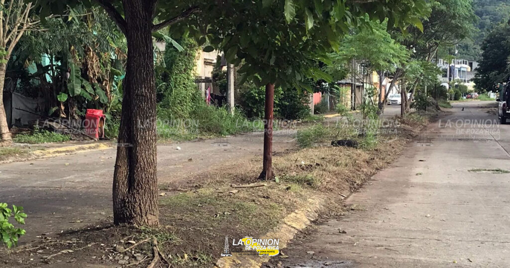 Recupera SSP espacios públicos en PR