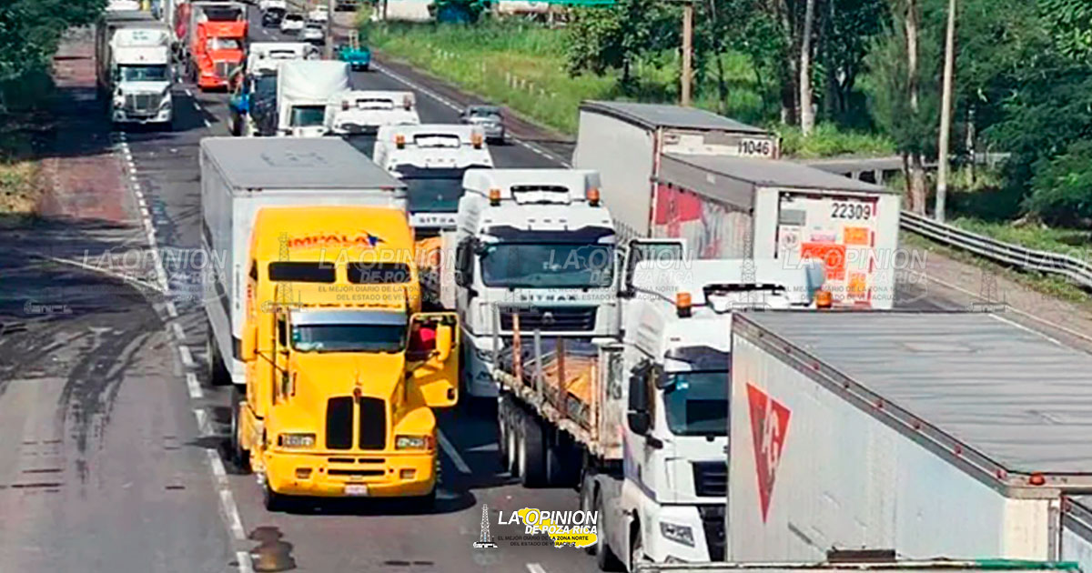 ROBO DE CARGA AZOTA AL ESTADO