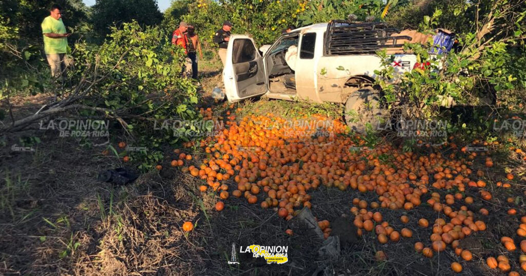 “Vuela” camioneta cargada de cítricos