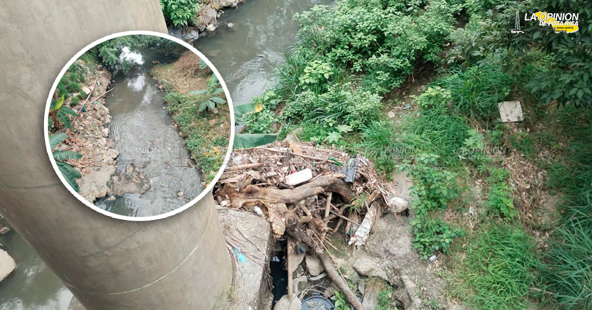 En 2023 retiraron 29. 48 toneladas de basura de los arroyos