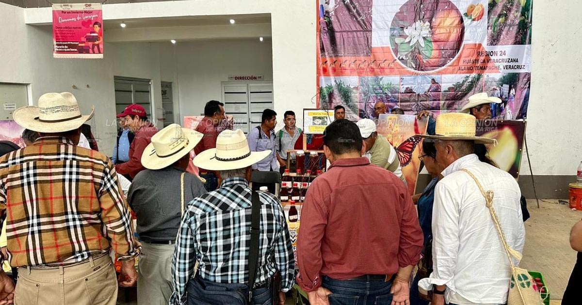 Incentivan a grupos de productores orgánicos