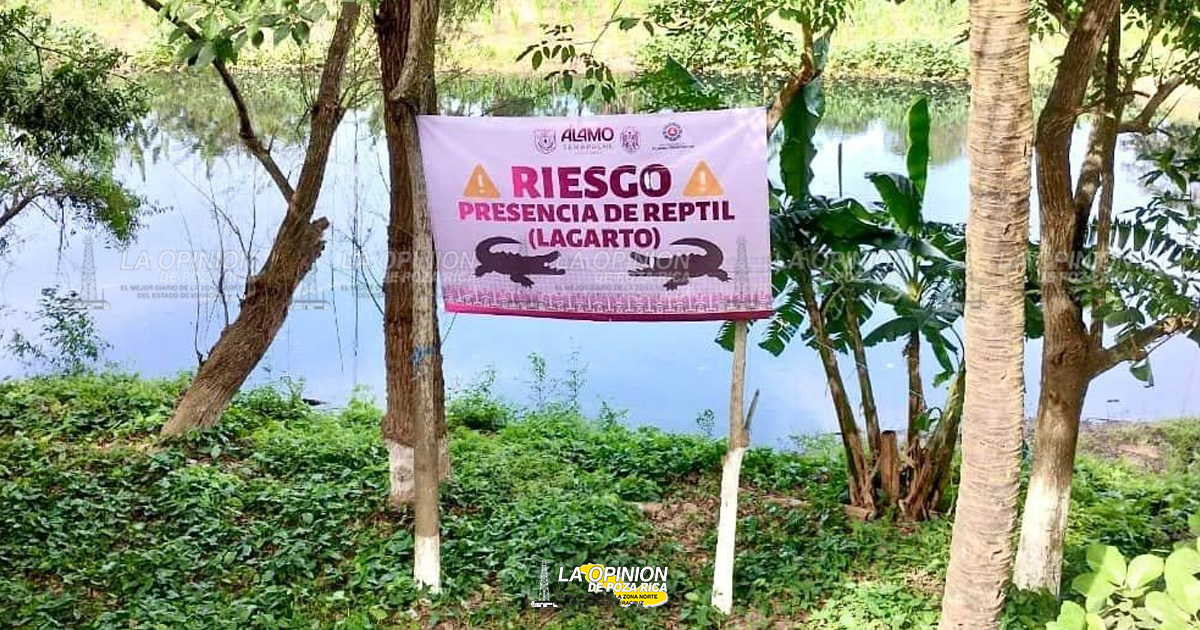 Alerta PC por presencia de lagartos en río Pantepec