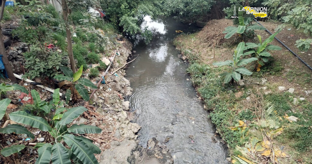 Dan limpieza a los arroyos