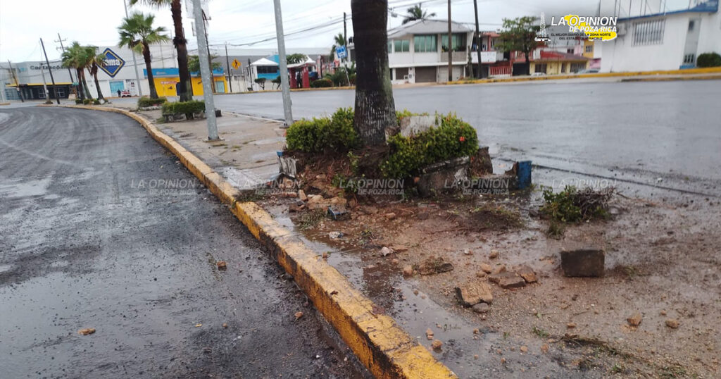 Auto Chevrolet se estrella contra palma y jardinera