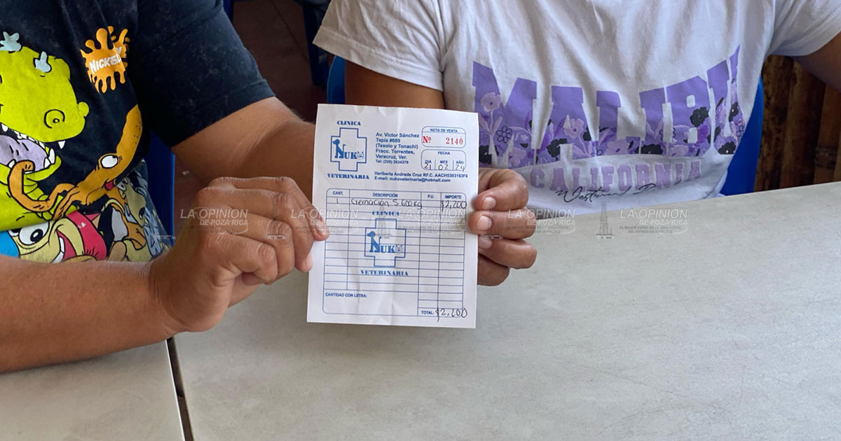 Expusieron mi datos personales y recibo amenazas de muerte aunque me hice responsable del accidente