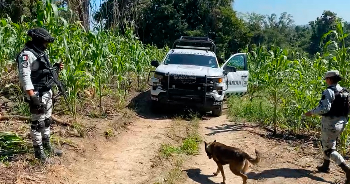 Recupera FGE un cuerpo en la fosa clandestina