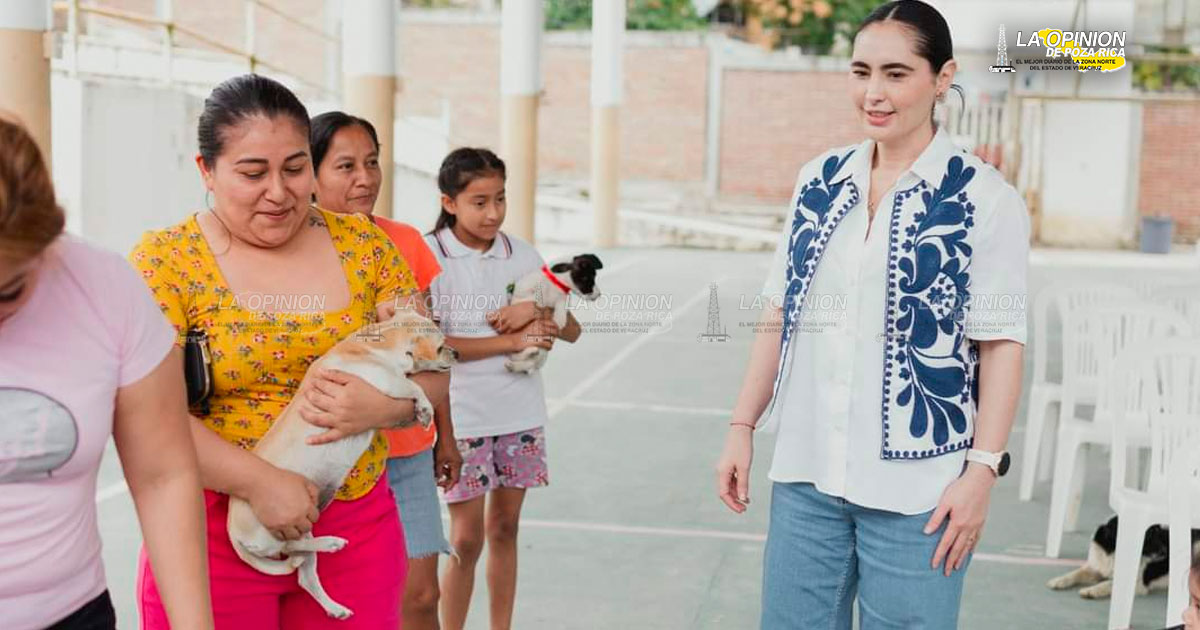 Salud para gatos y perros en colonias