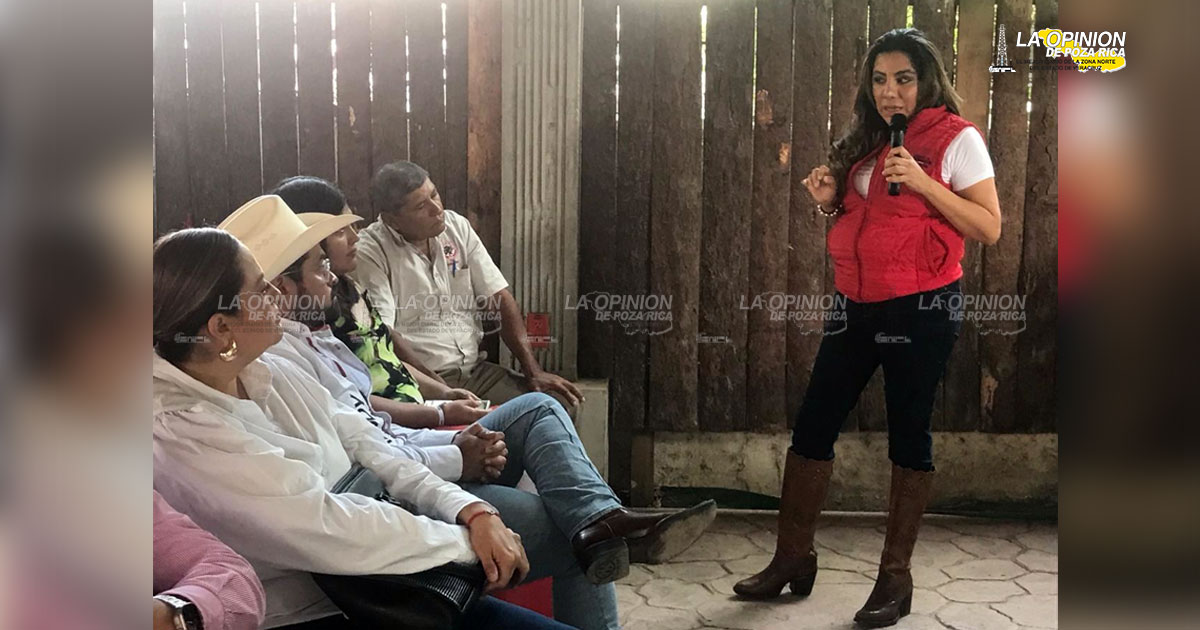 Iniciativas de Reformas de AMLO no pasarán: Piñón