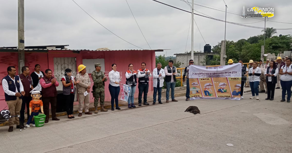 Destruyen criaderos del mosco transmisor del dengue