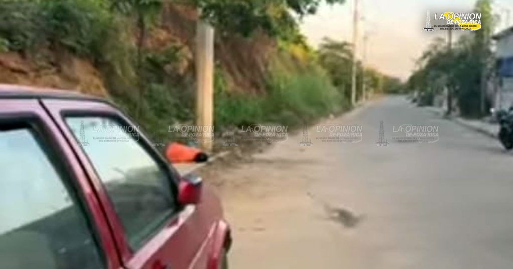 ¡Lo mataron a golpes!