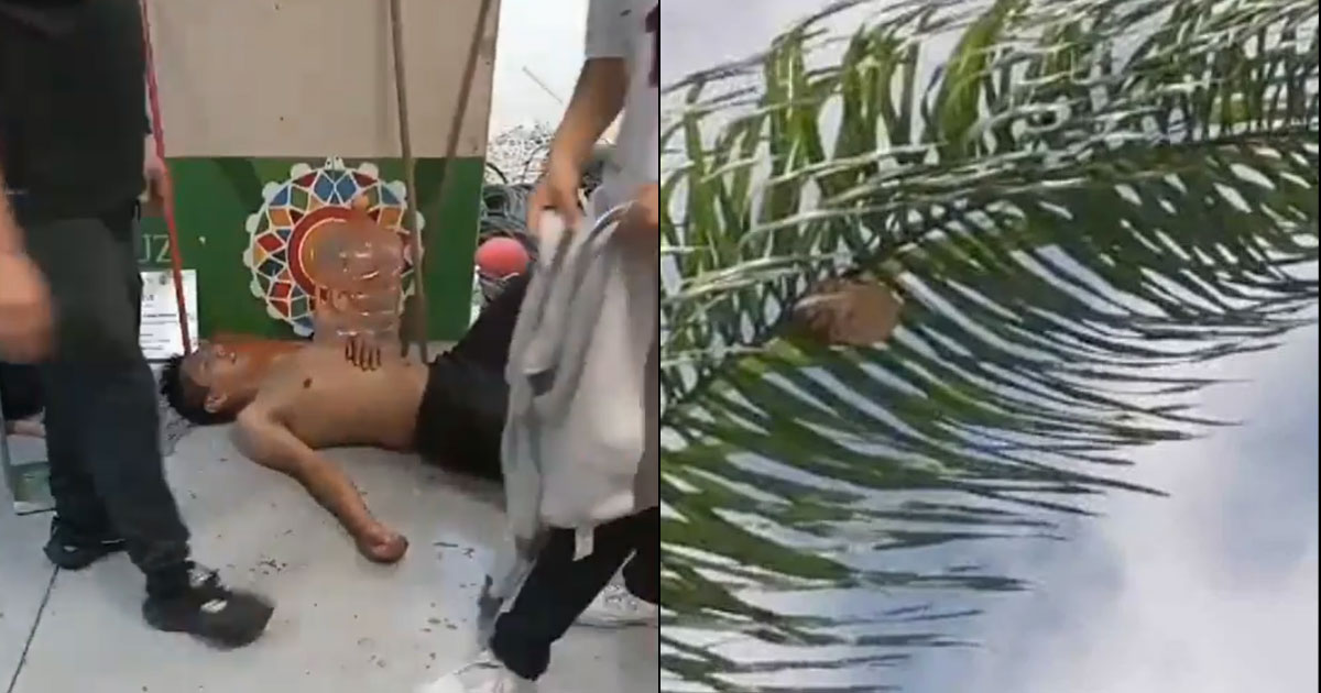 Ataque de abejas deja varios heridos en Veracruz