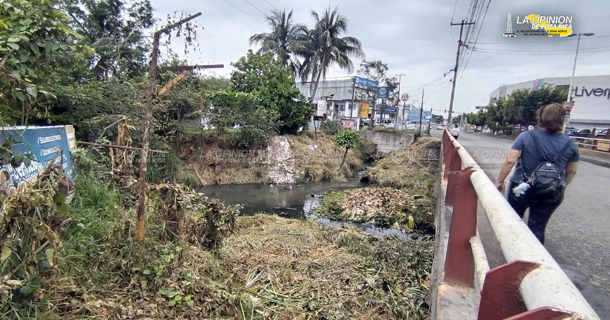 Piden sanciones por contaminar arroyos