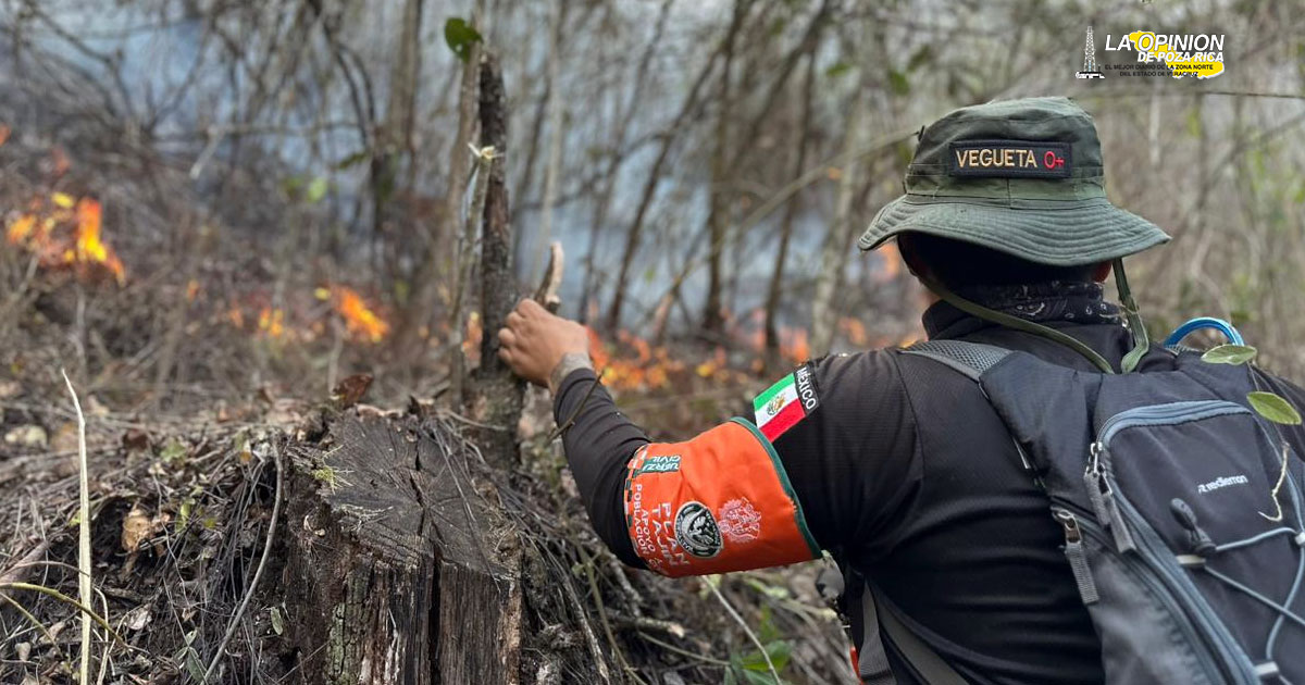 Intensifican acciones para sofocar incendios en las Altas Montañas