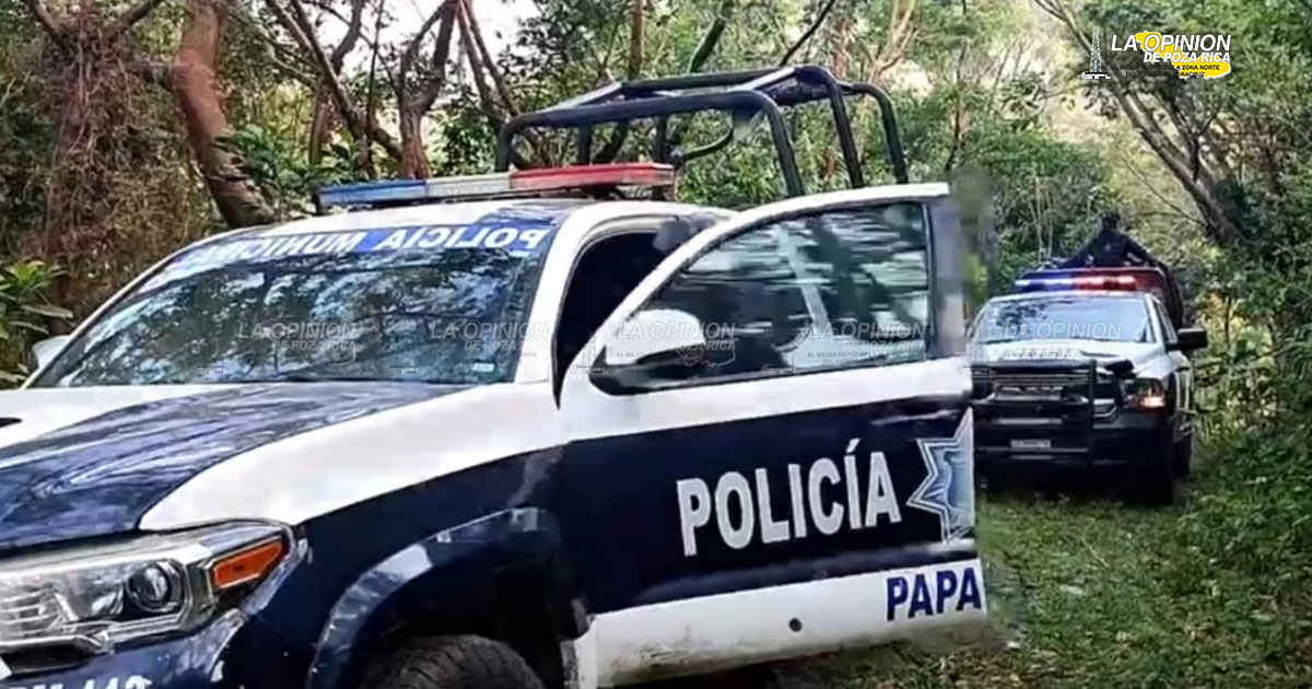 Encuentran narcocampamento en Totomoxtle