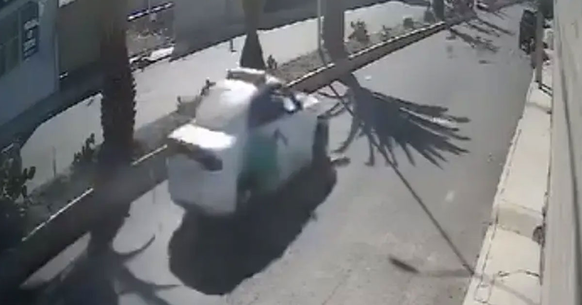 Conductor de patrulla ambiental sancionado por atropellar a perrito en Pachuca