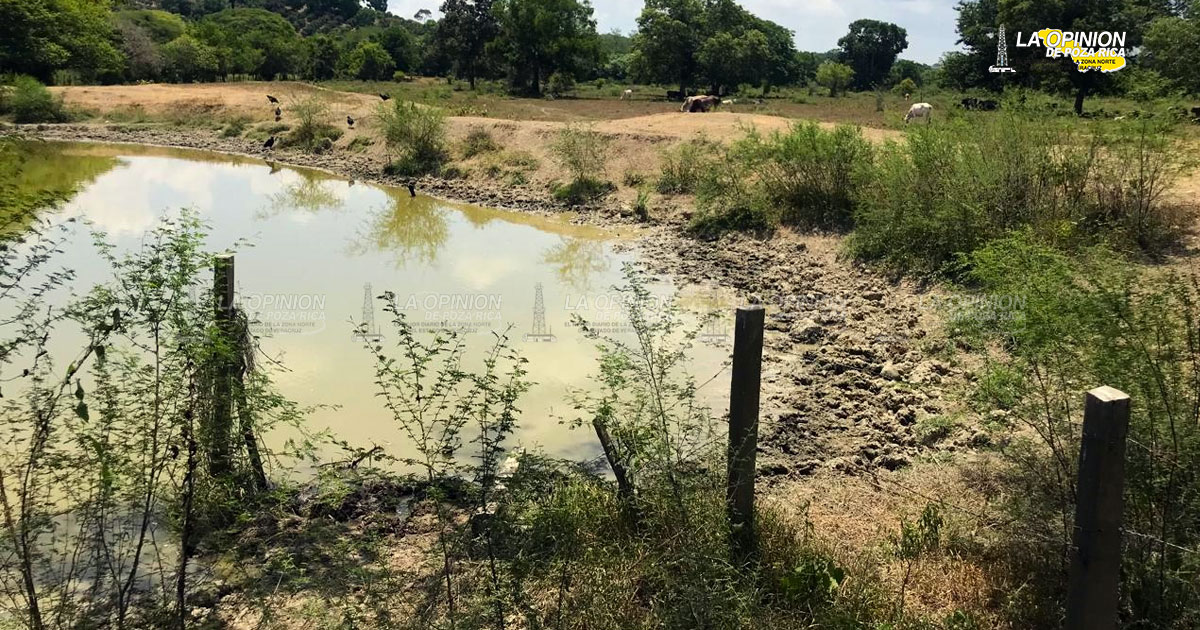 Presas pierden agua en forma rápida, advierten