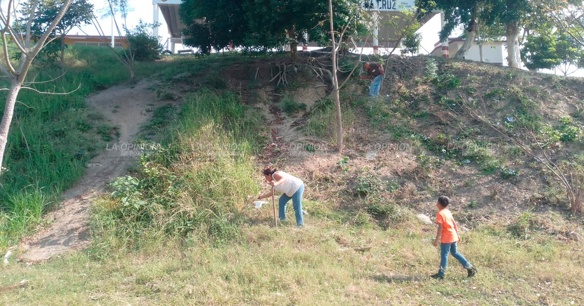 Peligran alumnos por presencia de víboras en el predio de su escuela