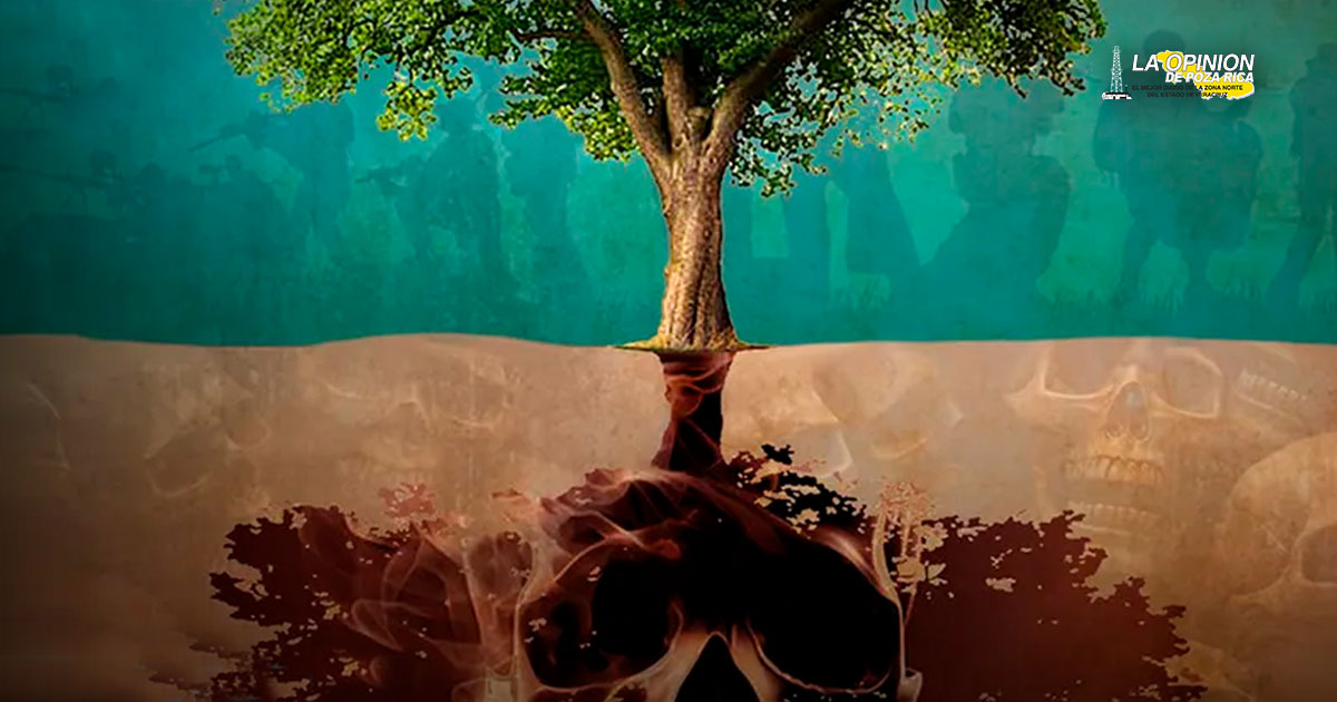 'Derecho de sombra': narcos extorsionan por cada árbol que proporcione sombra en zonas de Tamaulipas