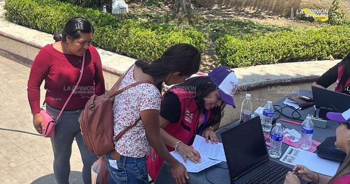 Van 227 solicitudes para ocupar puestos en OPLE