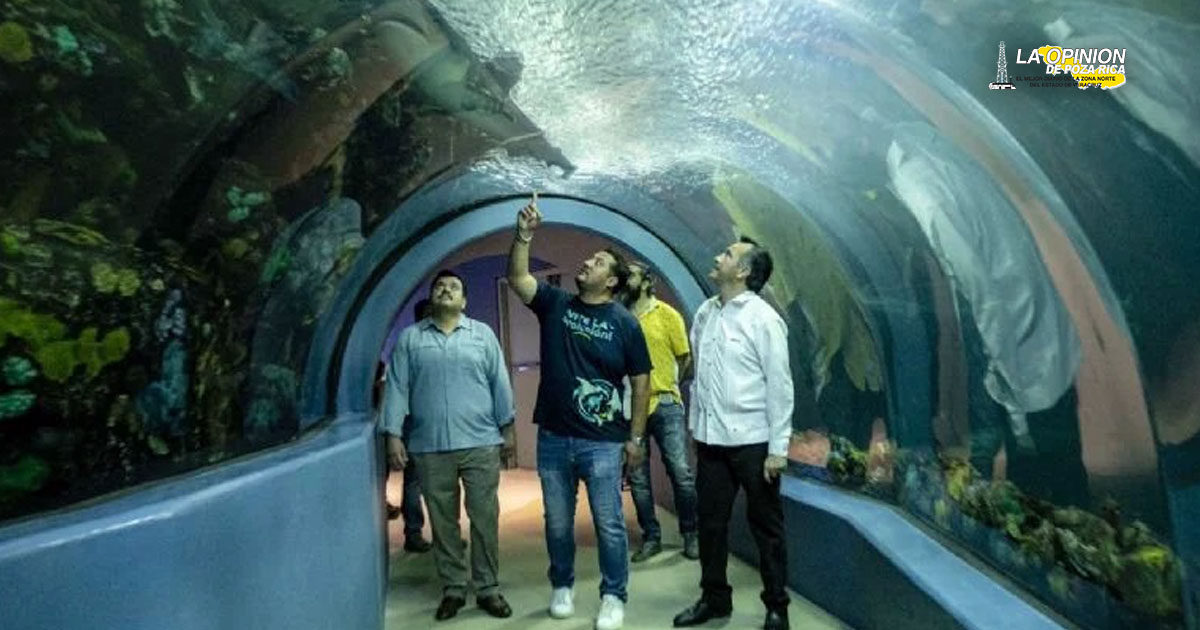 Evaden tema del Aquarium