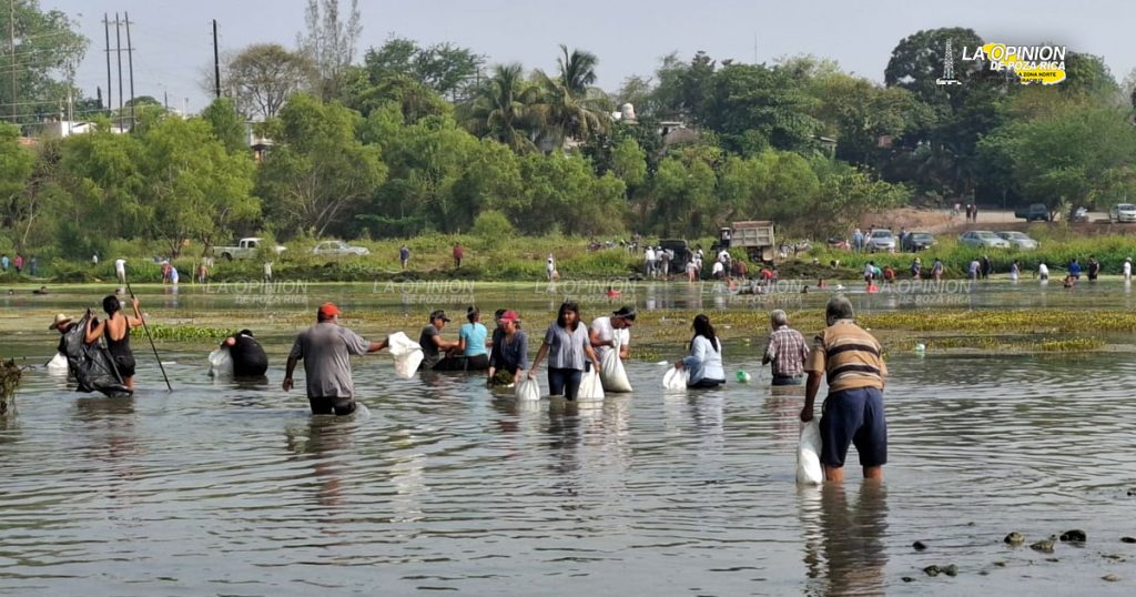 Titánica labor de limpieza en el río