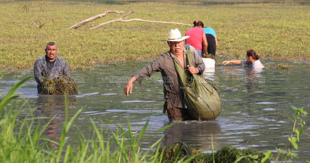Se suma comunidad en la limpieza del río