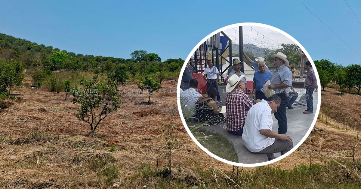 Piden declaratoria de desastre en el campo